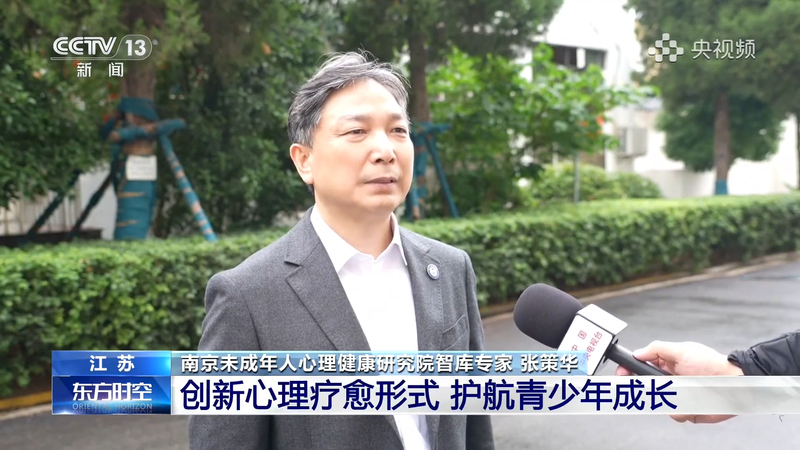 中央电视台采访晓庄党委书记张策...